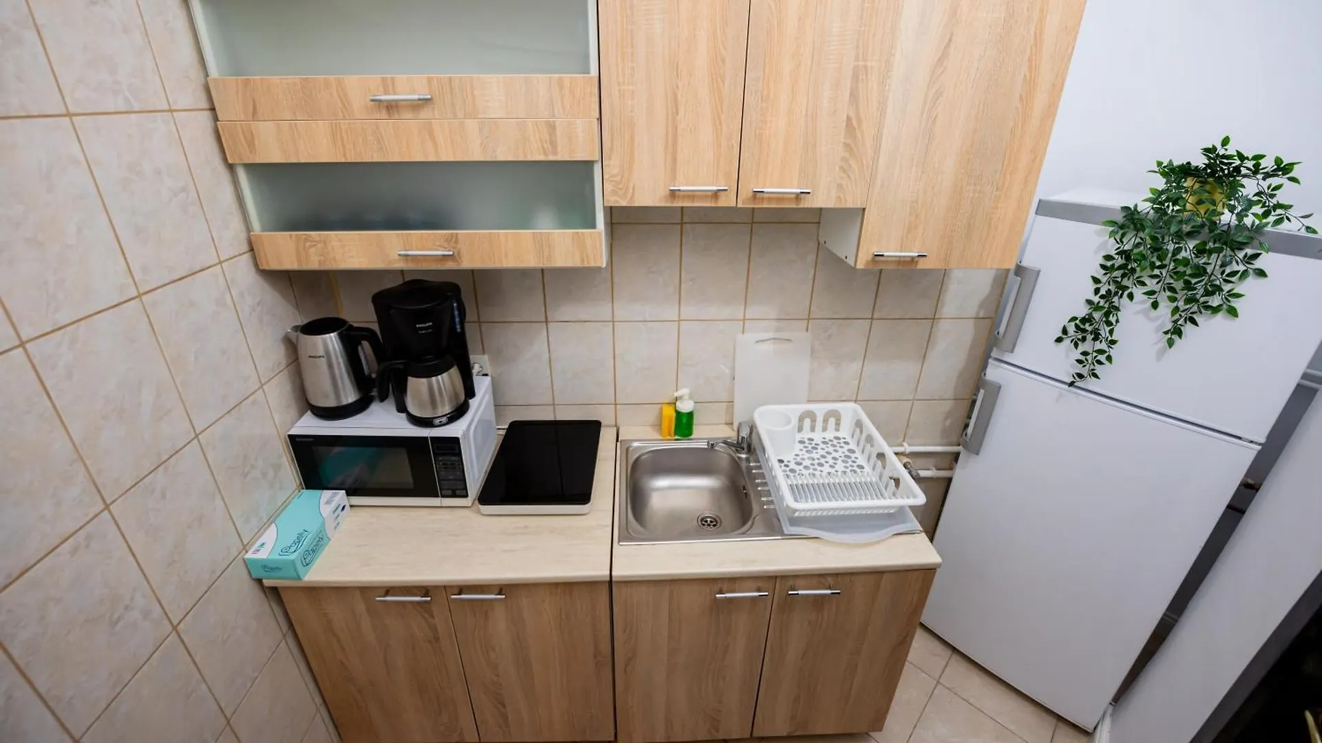 Ideal Accommodation Unirii Square Бухарест